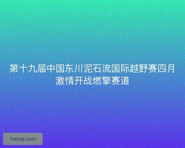 第十九届中国东川泥石流国际越野赛四月激情开战燃擎赛道